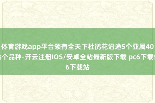 体育游戏app平台领有全天下杜鹃花沿途5个亚属40余个品种-开云注册IOS/安卓全站最新版下载 pc6下载站