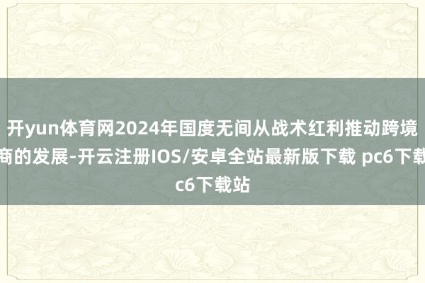 开yun体育网2024年国度无间从战术红利推动跨境电商的发展-开云注册IOS/安卓全站最新版下载 pc6下载站