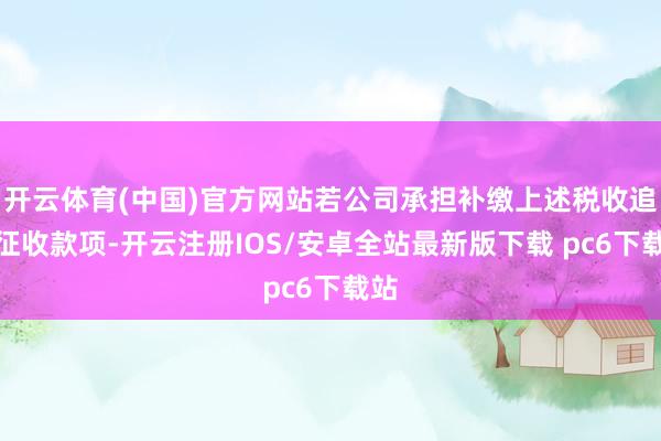 开云体育(中国)官方网站若公司承担补缴上述税收追思征收款项-开云注册IOS/安卓全站最新版下载 pc6下载站