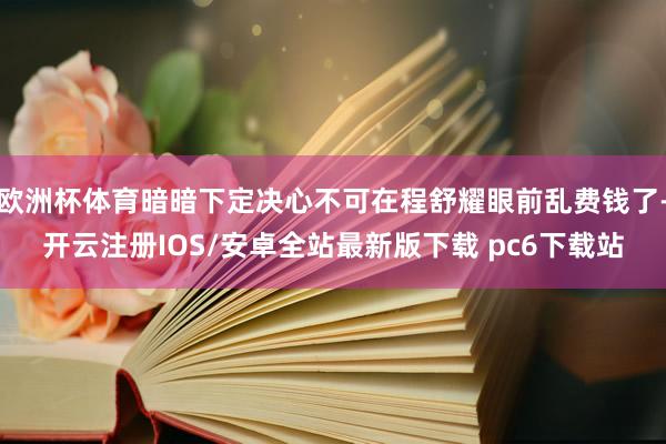 欧洲杯体育暗暗下定决心不可在程舒耀眼前乱费钱了-开云注册IOS/安卓全站最新版下载 pc6下载站