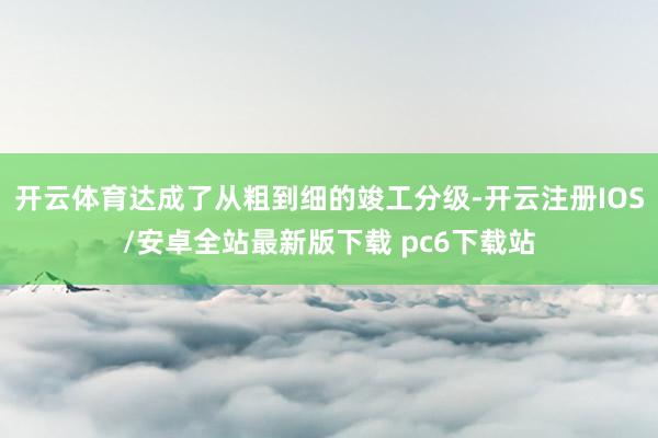 开云体育达成了从粗到细的竣工分级-开云注册IOS/安卓全站最新版下载 pc6下载站