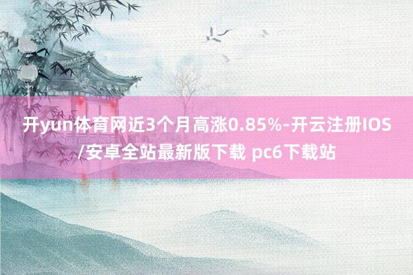 开yun体育网近3个月高涨0.85%-开云注册IOS/安卓全站最新版下载 pc6下载站