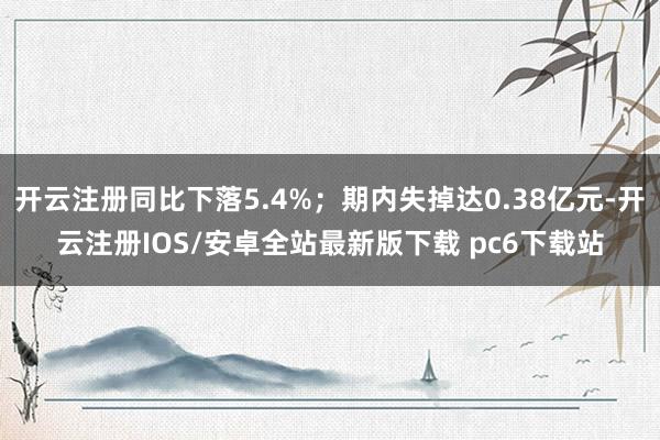 开云注册同比下落5.4%；期内失掉达0.38亿元-开云注册IOS/安卓全站最新版下载 pc6下载站