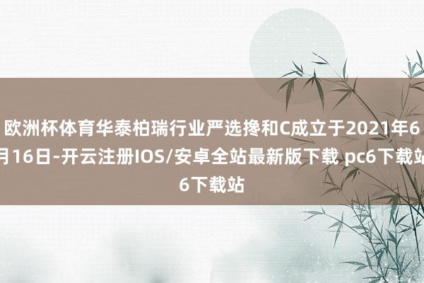 欧洲杯体育华泰柏瑞行业严选搀和C成立于2021年6月16日-开云注册IOS/安卓全站最新版下载 pc6下载站