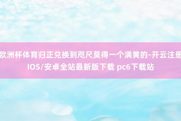 欧洲杯体育归正兑换到咫尺莫得一个满黄的-开云注册IOS/安卓全站最新版下载 pc6下载站