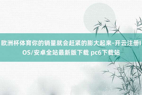 欧洲杯体育你的销量就会赶紧的膨大起来-开云注册IOS/安卓全站最新版下载 pc6下载站