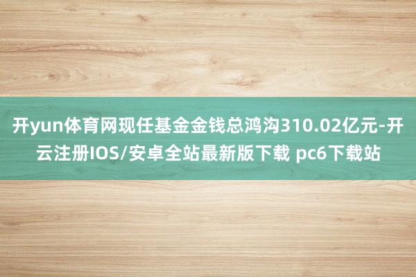 开yun体育网现任基金金钱总鸿沟310.02亿元-开云注册IOS/安卓全站最新版下载 pc6下载站