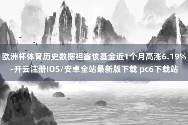 欧洲杯体育历史数据袒露该基金近1个月高涨6.19%-开云注册IOS/安卓全站最新版下载 pc6下载站